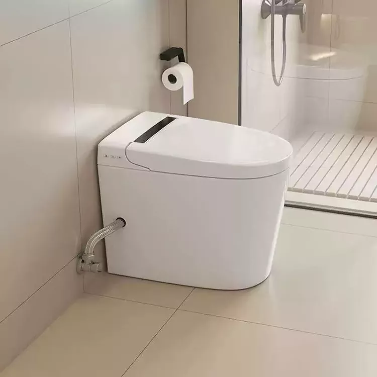 ዘመናዊ አነስተኛ ስማርት መጸዳጃ ቤት